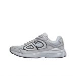 Dior B30 Gray Gray