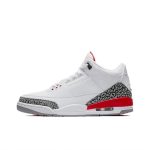 Air Jordan 3 Retro (Hall Of Fame)