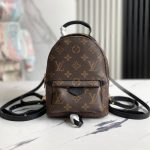 Louis Vuitton Palm Springs Mini M44873