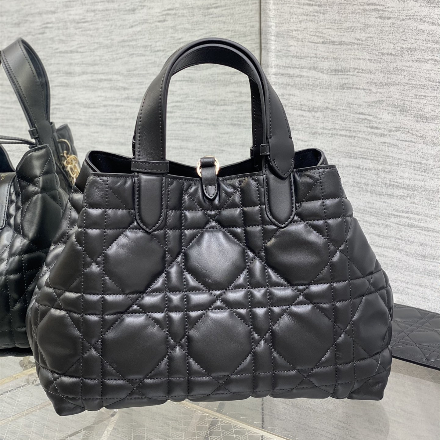 Dior Toujours Bag M2821 product listing interior and construction detail