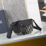 Dior Saddle Messenger Bag 2ADCA435YKK