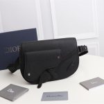 Dior Saddle Messenger Bag 1ADPO095YKY