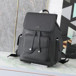 Dior Saddle Backpack Bag 1ADBA161YKS