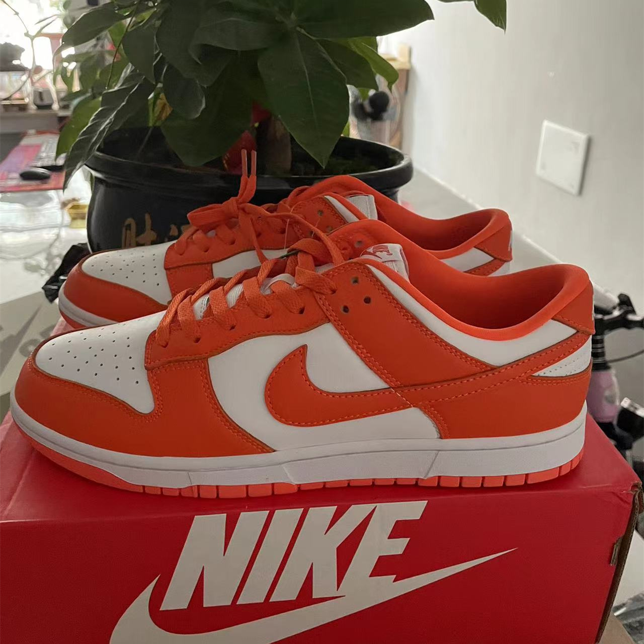 Nike SB Dunk Low SP Syracuse – available at shoes886.com